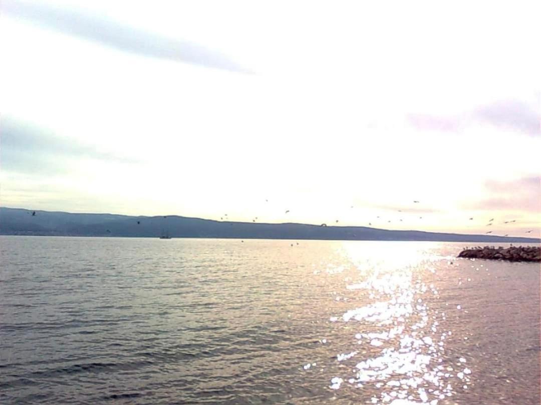 Apartmani Branko Vojnovic Omiš Kamer foto